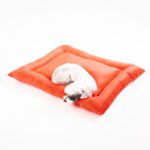 Cama Colchoneta - Imagen 8