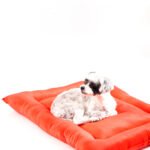 Cama Colchoneta - Imagen 3