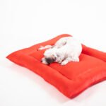 Cama Colchoneta - Imagen 4