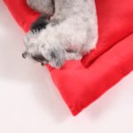 Cama Colchoneta - Imagen 6