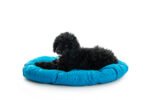 Cama Oval - Imagen 3
