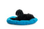 Cama Oval - Imagen 2