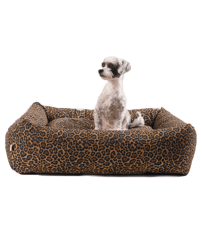 can-cat_cama-animal-print_entero-perro-sentado_700x800.webp (1)