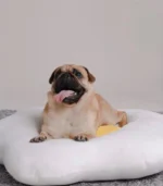 Cama Eggy - Imagen 3