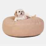 Circle Antifluido